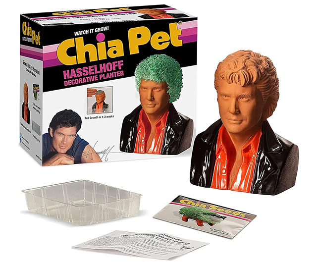David Hasselhoff Chia Pet from IGottaHaveItNow, a fun, retro gardening novelty for fans of the iconic actor.