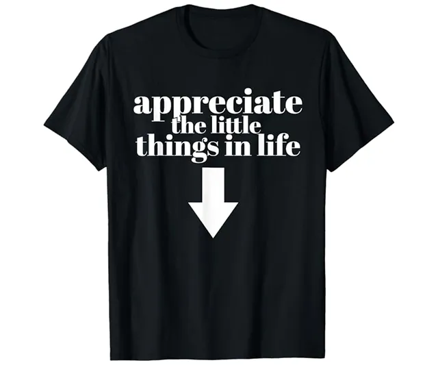 Funny ‘Appreciate the Little Things in Life’ t-shirt with an arrow pointing down, showcased on IGottaHaveItNow.