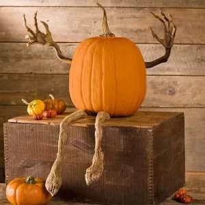 Set of bendable pumpkin arms and legs in orange for creative and spooky Halloween decor. Check it out on IGottaHaveItNow.