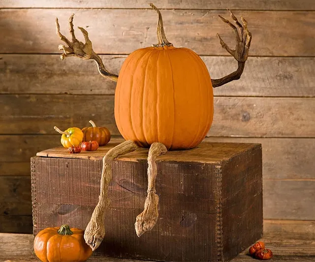 Set of bendable pumpkin arms and legs in orange for creative and spooky Halloween decor. Check it out on IGottaHaveItNow.